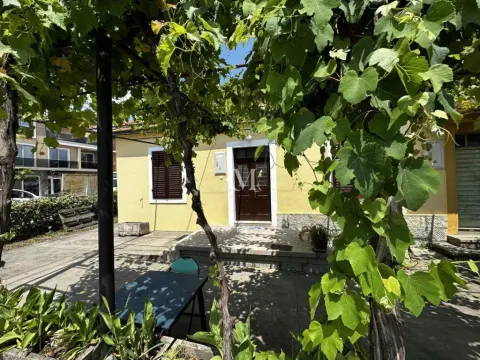 Yard of the house with grapevines and a seating table. - image 10