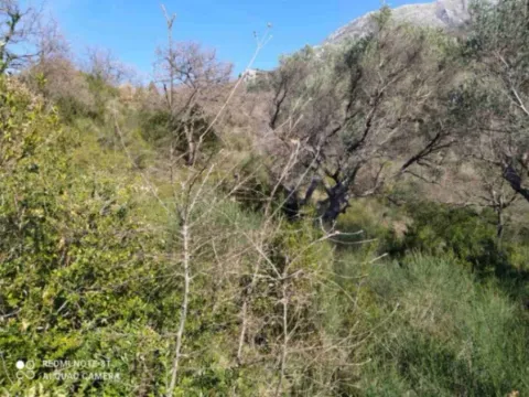 Prodaja, plac, 9890m², Zaljevo, Bar - image 5