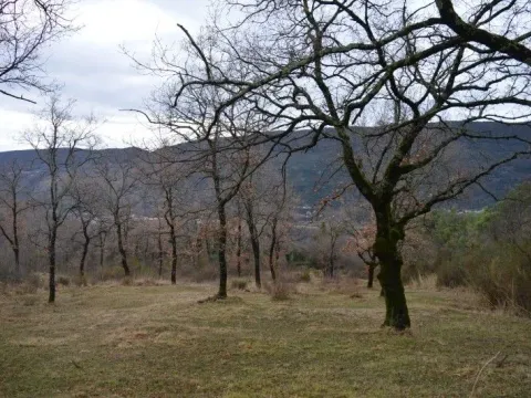 Sale, land lot, 9328m², Mojdež, Herceg Novi - image 8