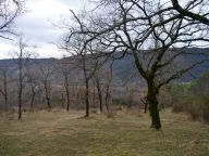 Sale, land lot, 9328m², Mojdež, Herceg Novi - image 8