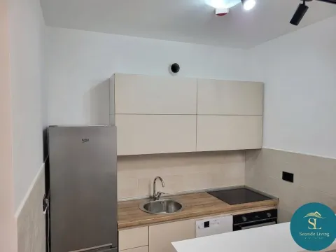 Izdavanje, jednosoban stan, 49m², Ljubović, Podgorica - image 3