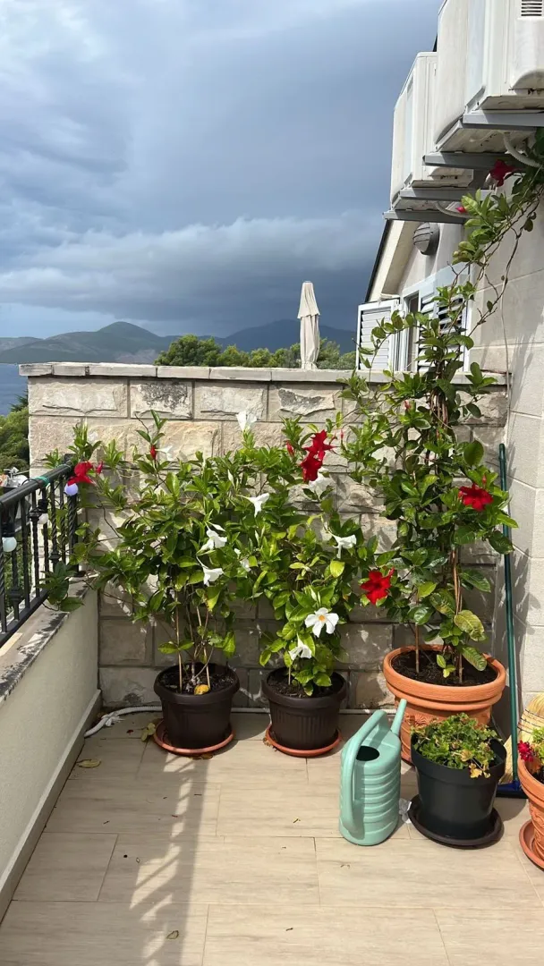 Terasa sa saksijama cvijeća i pogledom na more i planine.