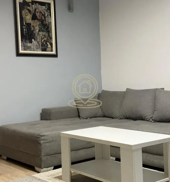 Izdavanje, dvosoban stan, 35m², Skadarlija, Beograd