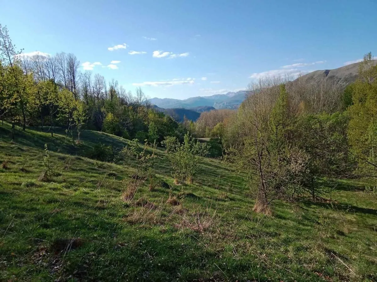 Prodaja, plac, 13700m², Miloševići, Šavnik