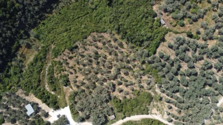 Prodaja, plac, 1996m², Ulcinj, Crna Gora