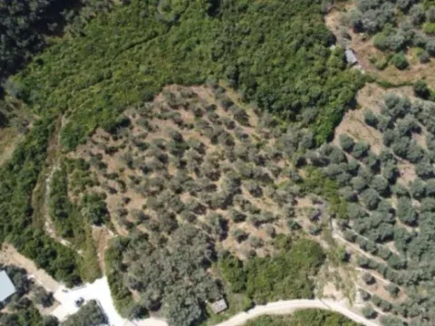 Prodaja, plac, 1996m², Ulcinj, Crna Gora - image 2