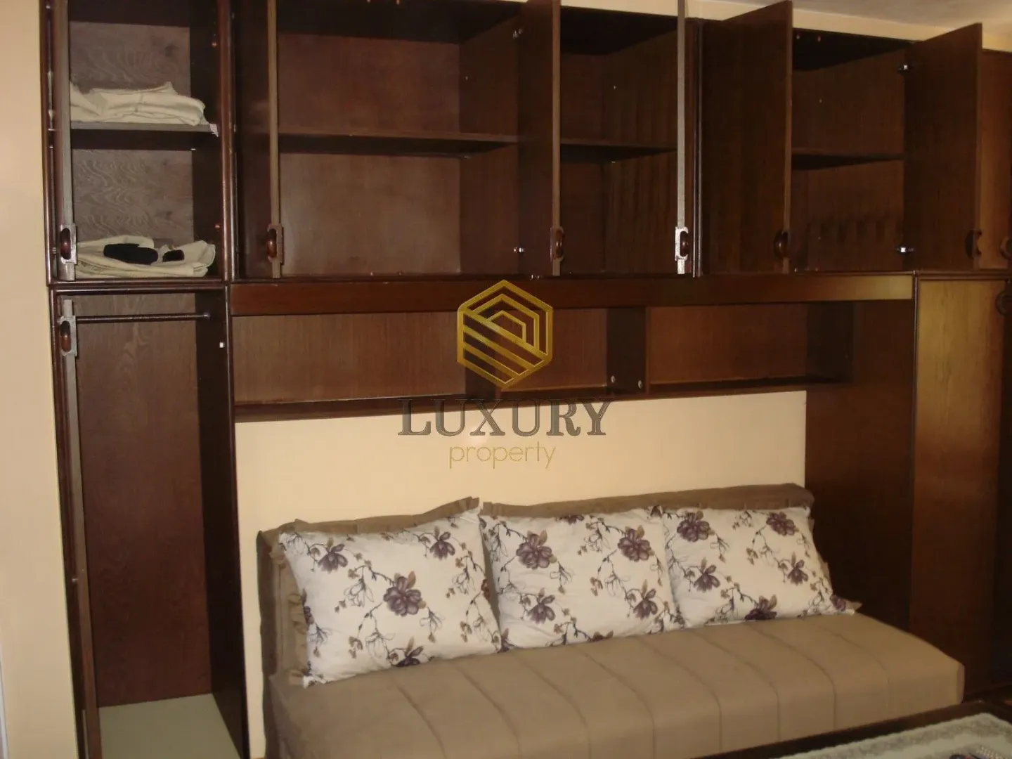 Living room with a sofa and built-in wooden closets.