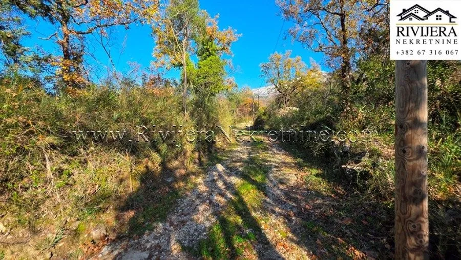 Prodaja, plac, 988m², Ratiševina, Herceg Novi
