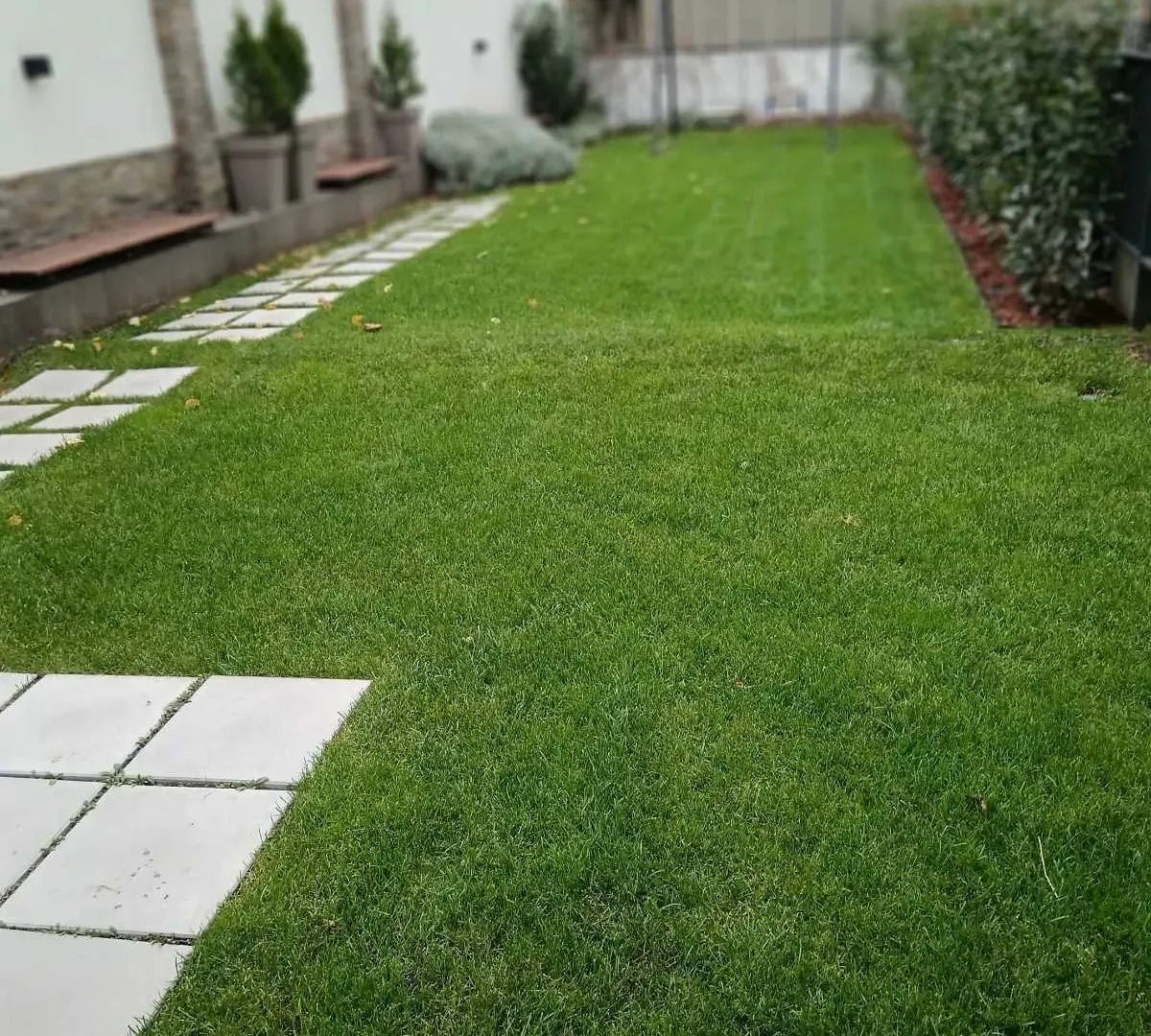 Izdavanje, jednosoban stan, 44m², Zemun Sve Podlokacije, Beograd