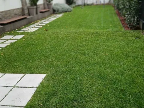 Izdavanje, jednosoban stan, 44m², Zemun Sve Podlokacije, Beograd - image 18