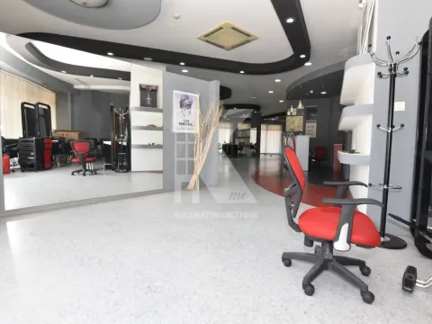  Office Space for Rent, 347m2, Krivi Most, Podgorica