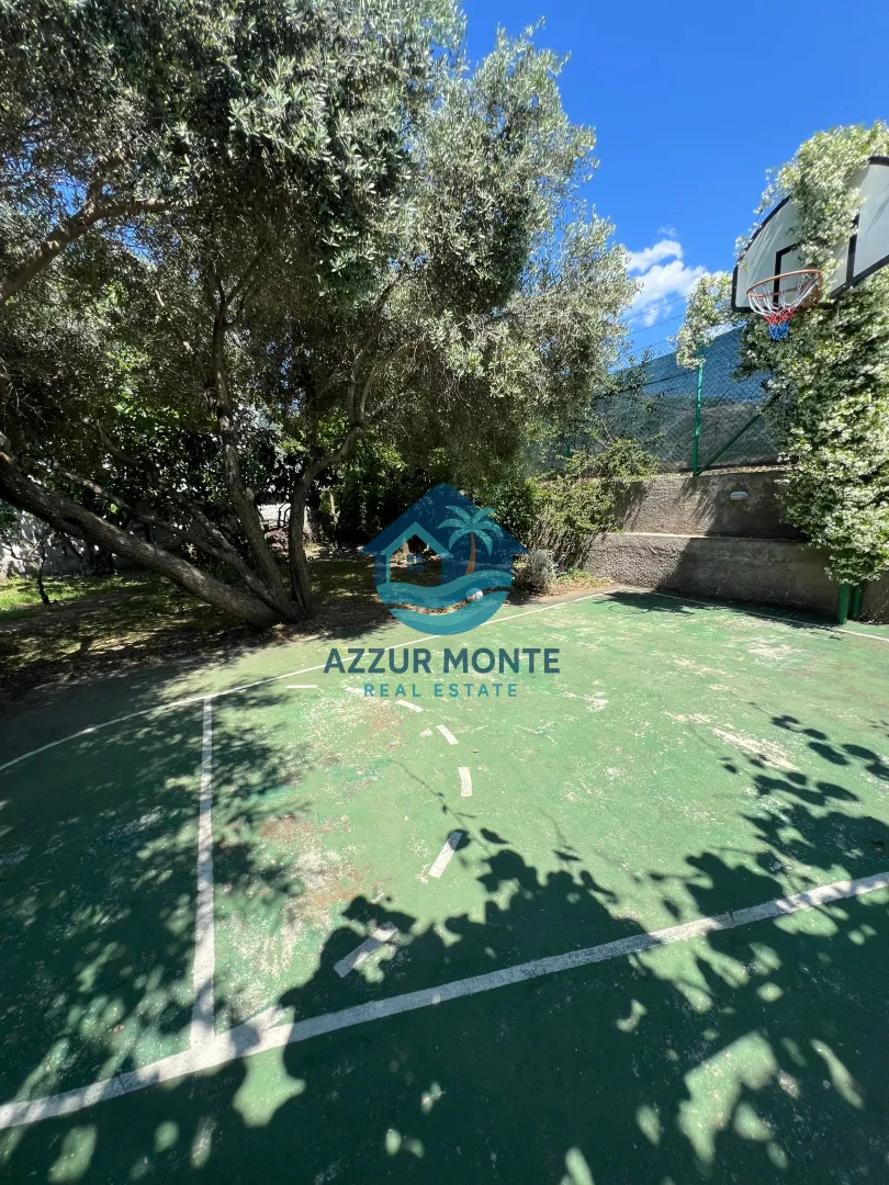 Yard with a sports court and greenery.