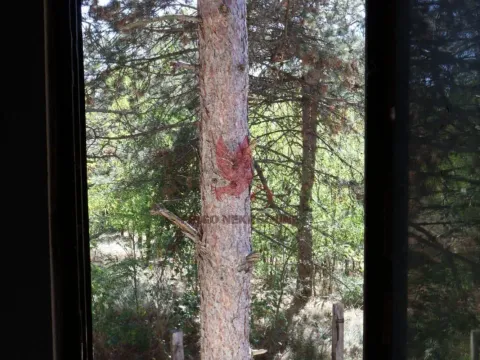 Sale, house, 72m², Golubac, Srbija - image 3