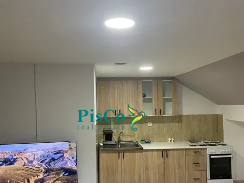 Izdavanje, jednosoban stan, 45m², Malo Brdo, Podgorica - image 4