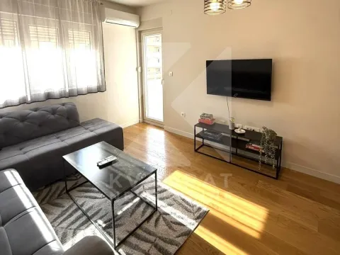 Rent, one bedroom apartment, 50m², Central Point, Podgorica - image 2