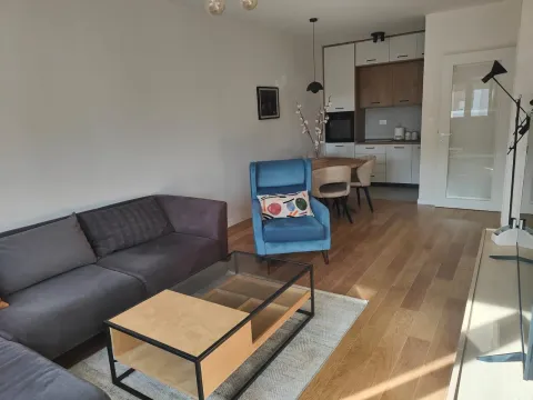 Izdavanje, jednosoban stan, 50m², Central Point, Podgorica - image 4