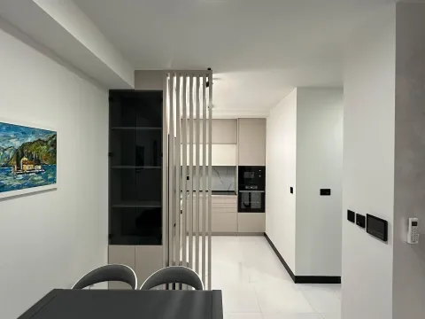 Rent, one bedroom apartment, 45m², Zagorič, Podgorica - image 3