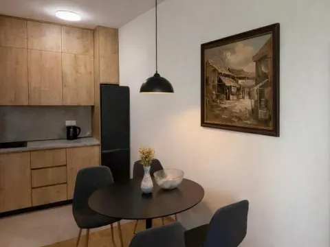 Daily-rent, one bedroom apartment, 49m², New City, Podgorica - image 3