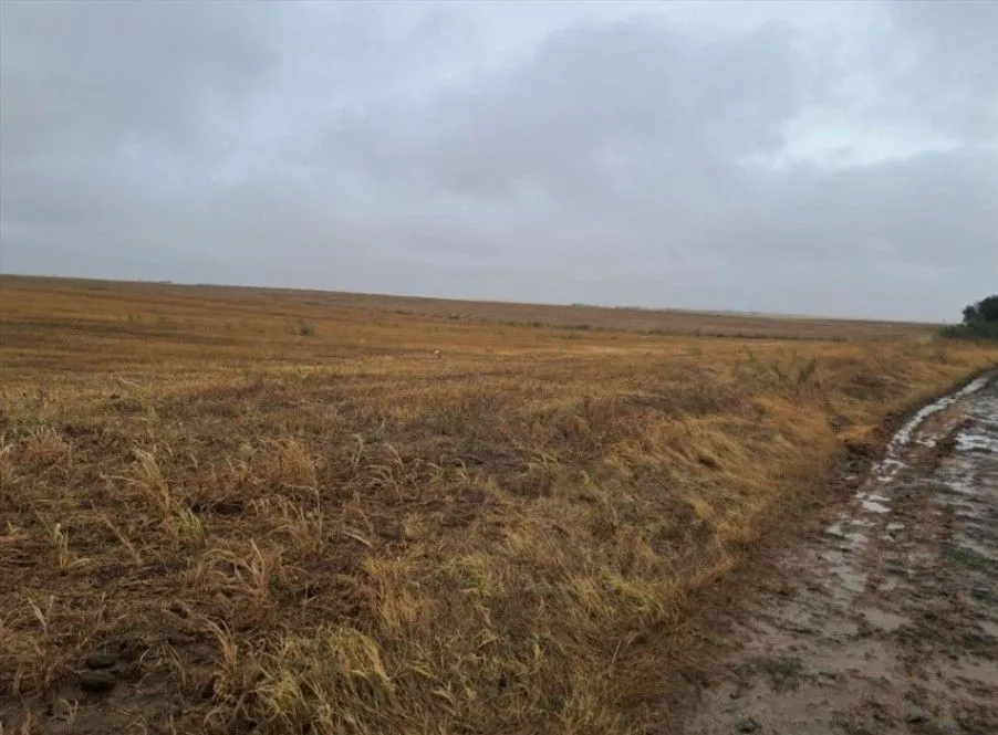 Sale, land lot, 45000m², Irig, Srbija