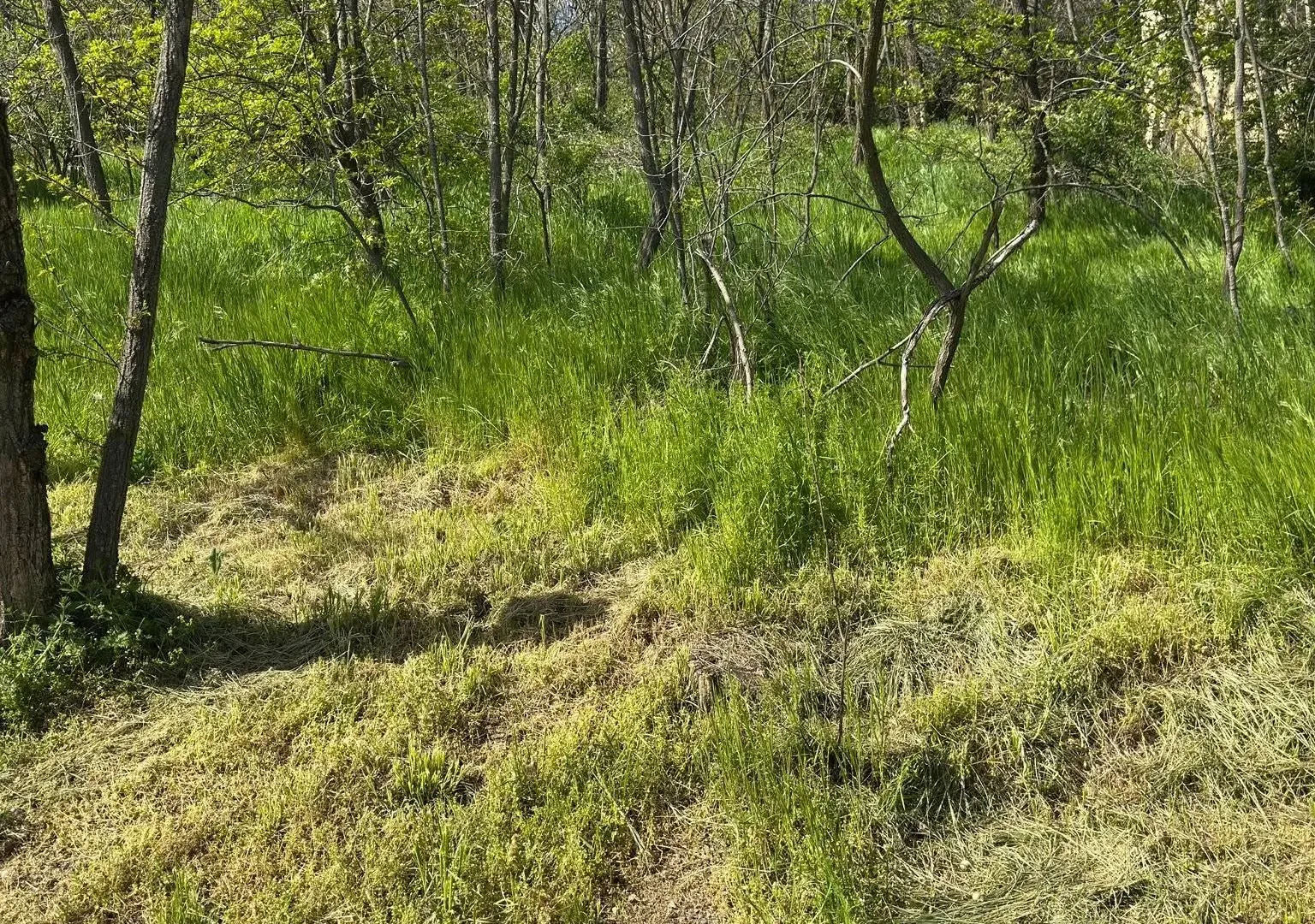 Prodaja, plac, 300m², Vršac, Srbija