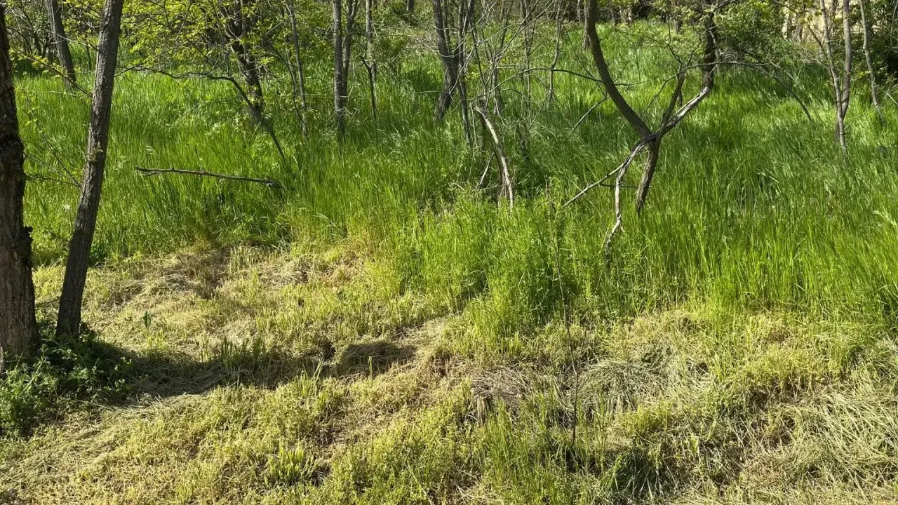 Sale, land lot, 300m², Vršac, Srbija