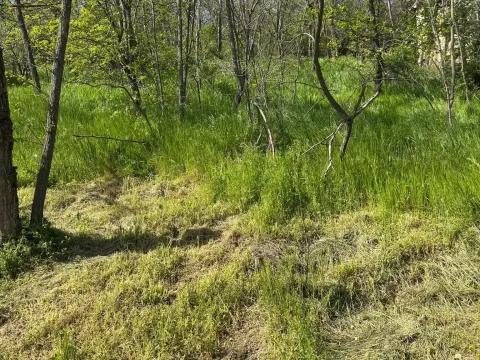 Zemljište in Vršac