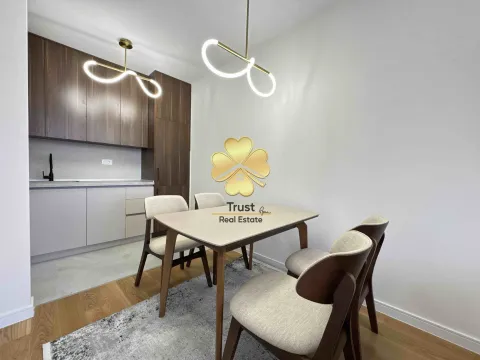 Izdavanje, jednosoban stan, 49m², Central Point, Podgorica - image 4