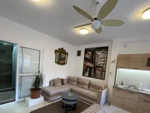 Rent, studio apartment, 35m², Stara Varoš, Podgorica - image 8
