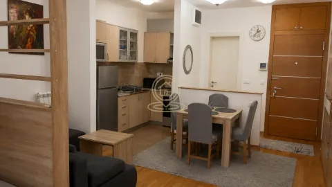 Izdavanje, jednosoban stan, 45m², Tašmajdan, Palilula Sve Podlokacije - image 4