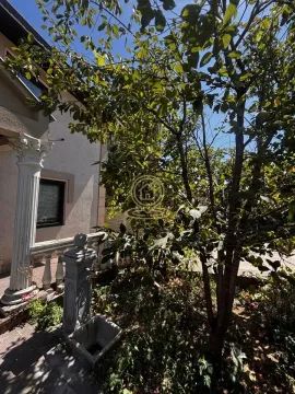 Courtyard of the house with greenery and trees. - image 29
