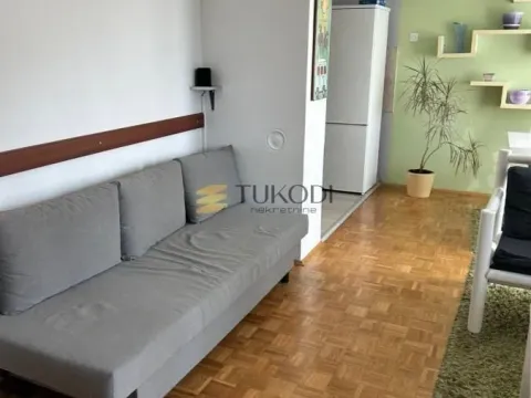 Izdavanje, jednosoban stan, 42m², Vračar Sve Podlokacije, Beograd - image 2
