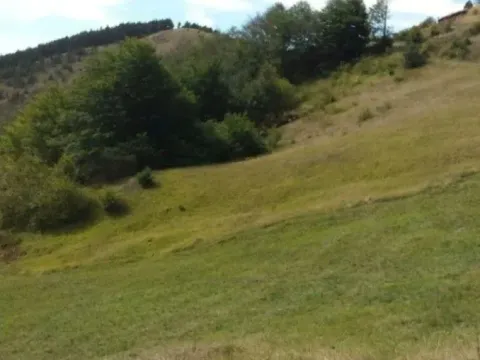 Prodaja, plac, 989m², Zlatibor, Srbija - image 13