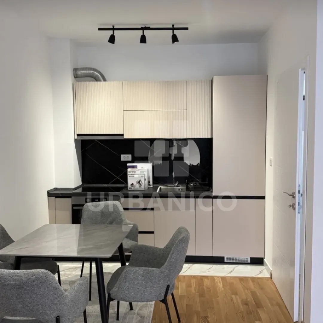 Rent, one bedroom apartment, 42m², Zagorič, Podgorica