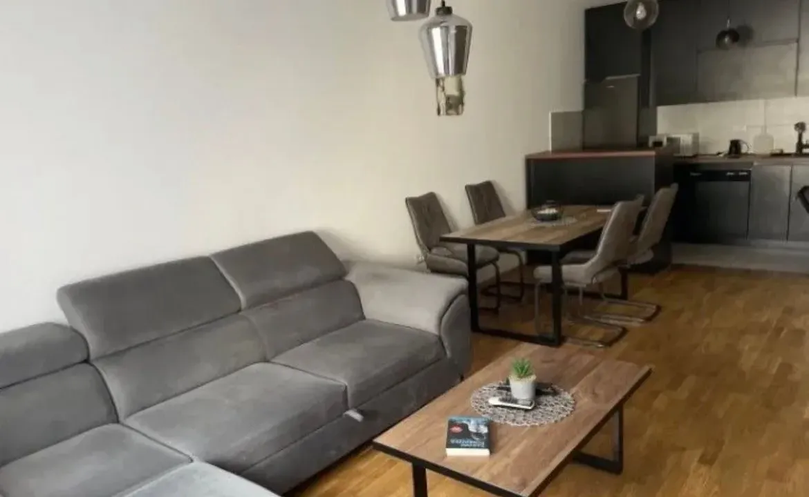Izdavanje, jednosoban stan, 49m², Stari Aerodrom, Podgorica