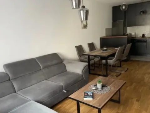 Izdavanje, jednosoban stan, 49m², Stari Aerodrom, Podgorica