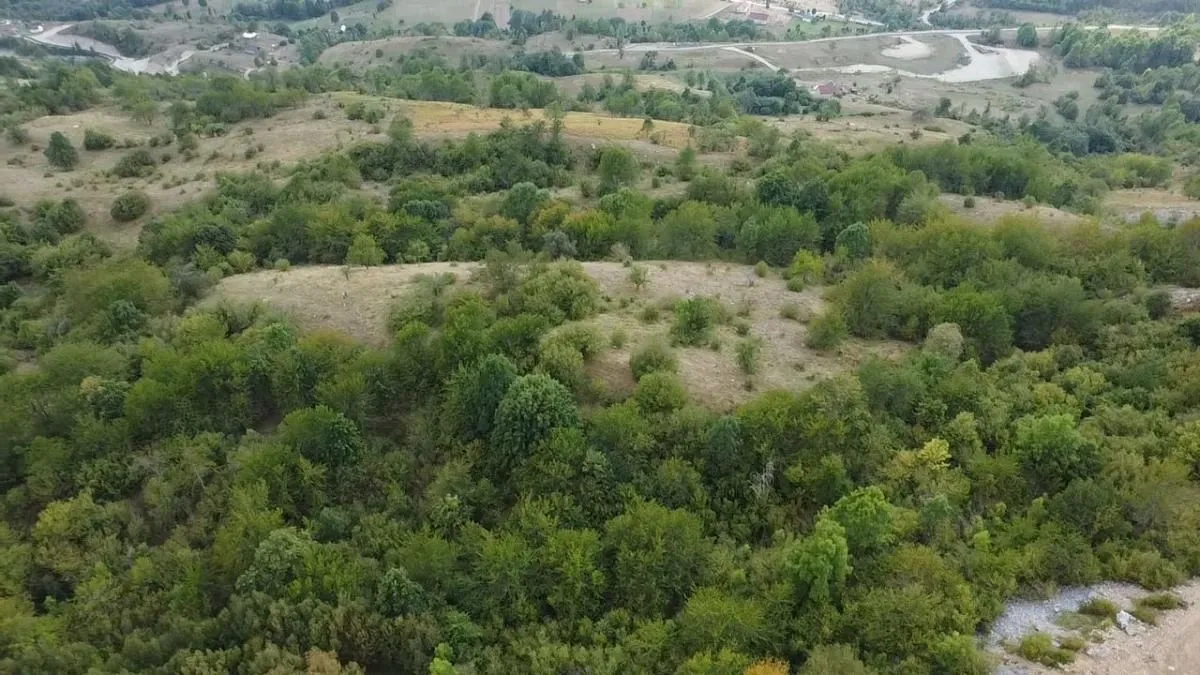 Prodaja, plac, 41000m², Donje Lipovo, Kolašin