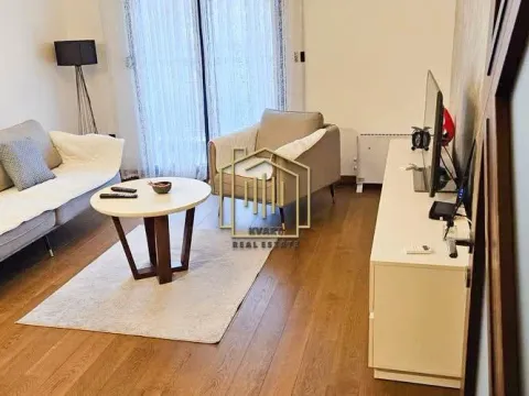 Rent, one bedroom apartment, 48m², Ljubović, Podgorica - image 2