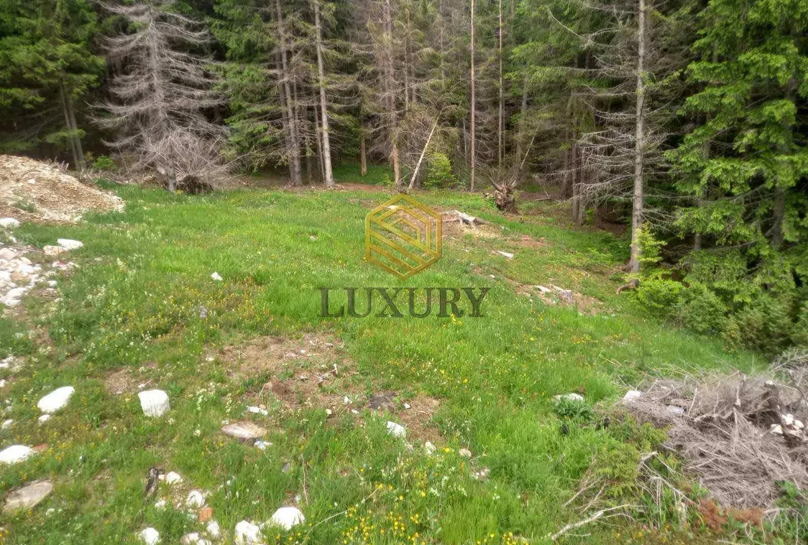 Prodaja, plac, 233m², Centar, Žabljak