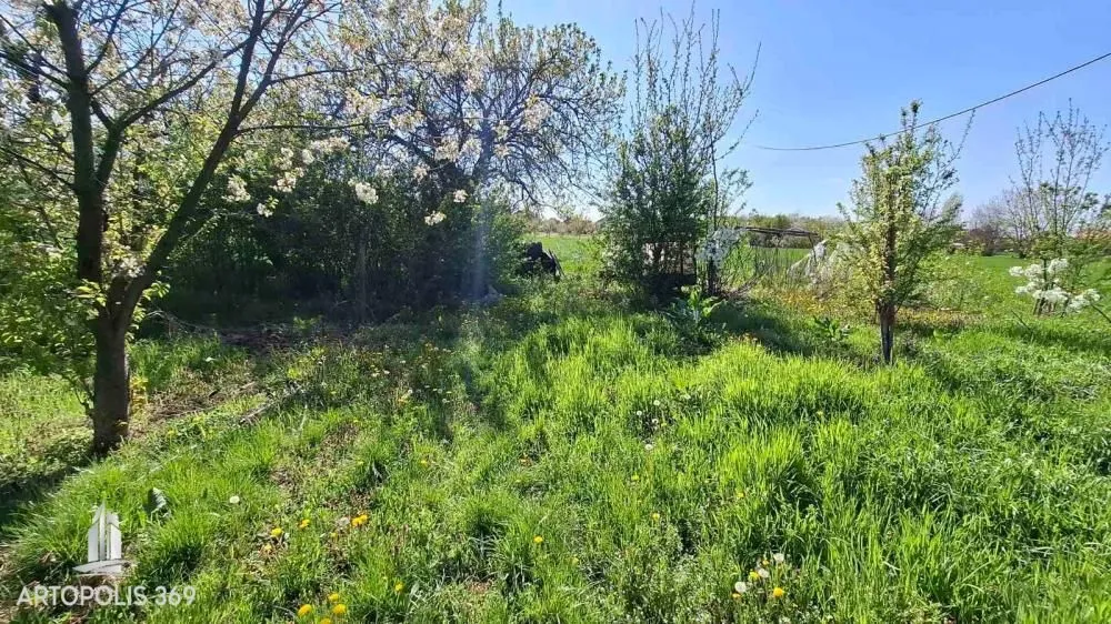 Sale, house, 248m², Dobanovci, Surčin