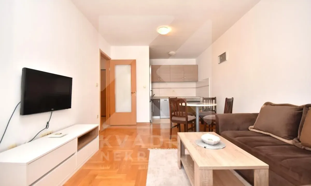 Izdavanje, jednosoban stan, 45m², Stari Aerodrom, Podgorica