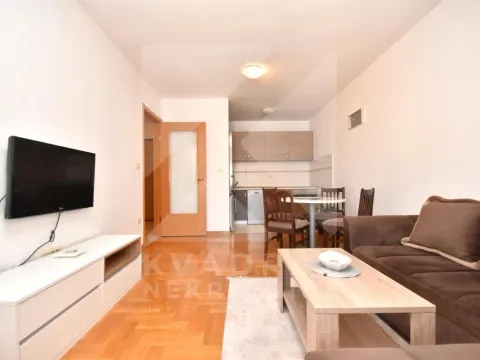 Rent, one bedroom apartment, 45m², Stari Aerodrom, Podgorica - image 1