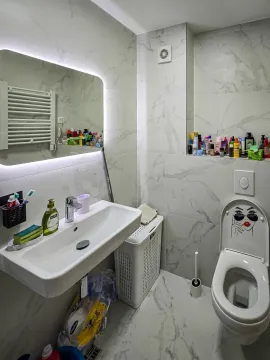 Savremeno opremljeno kupatilo sa umivaonikom, ogledalom i WC šoljom. - image 20