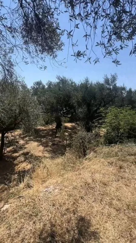 Sale, house, 50m², Dobra Voda, Budva