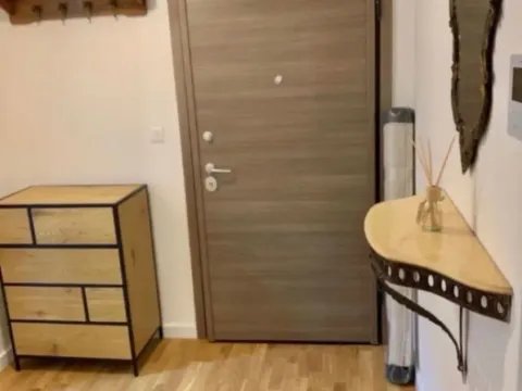 Rent, one bedroom apartment, 46m², Zabjelo, Podgorica - image 9