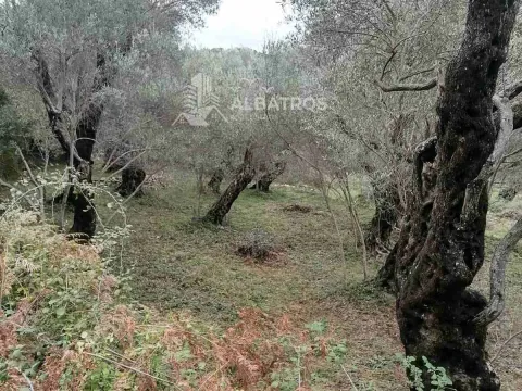 Prodaja, plac, 2250m², Ulcinj, Crna Gora - image 3
