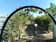 Prodaja, kuća, 58m², Srpski Šor, Subotica - image 17