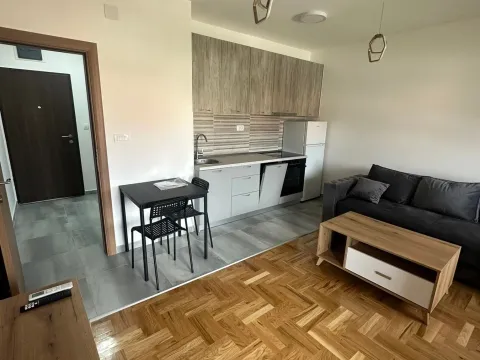 Rent, studio apartment, 34m², Zabjelo, Podgorica - image 3