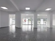 Izdavanje, poslovni prostor, 100m², Mali Bajmok, Subotica - image 4