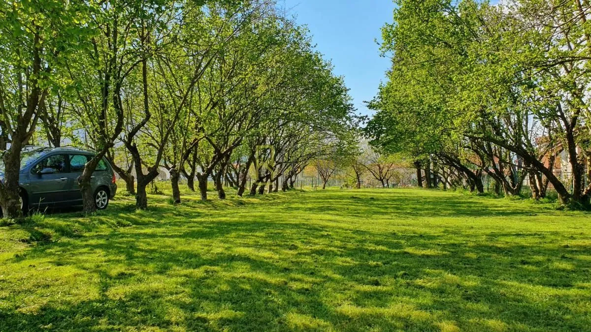 Prodaja, kuća, 132m², Ćurilac, Danilovgrad