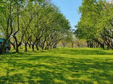 Sale, house, 132m², Ćurilac, Danilovgrad - image 14